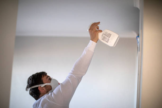 Attic Mold Removal in Mountainair, NM